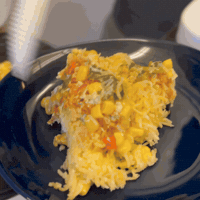 As Seen On Tv Cooking GIF by Rice Robot