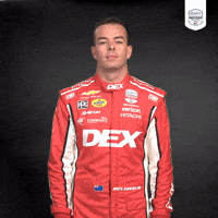 Youre Kidding Me Oh No GIF by INDYCAR