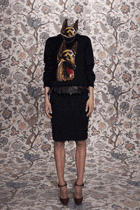 dog wallpaper GIF by fashgif