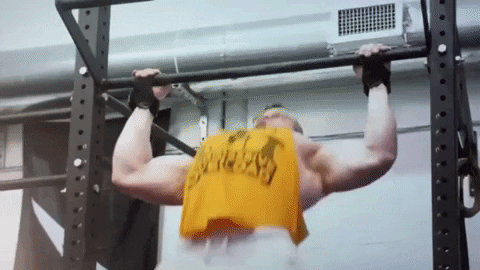 fitguide giphygifmaker GIF
