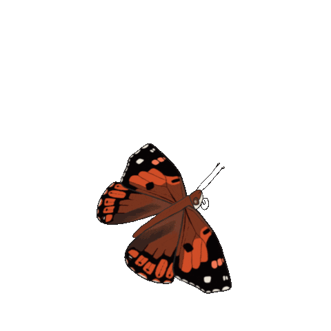 Arielillustrates Sticker by uheheu