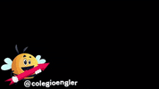 colegioengler bee abelha bauru abelhinha GIF