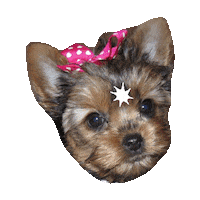 Dog Puppy Sticker by imoji