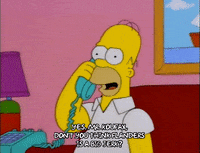 homer simpson episode 6 GIF