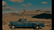 subpoprecords country music country cowboy pony GIF