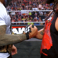Best Friends Awww GIF by WWE