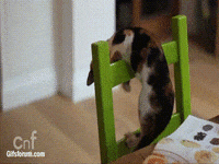 chair fail falling GIF
