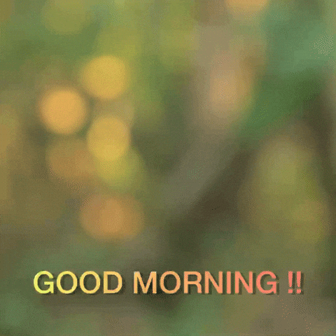 DOORO BEAR. GOOD MORNING!!“