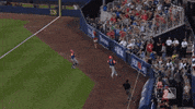 wall jeff GIF by MLB