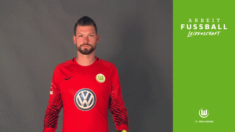 bundesliga wolves GIF by VfL Wolfsburg