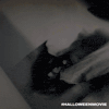 Horror Halloweenmovieofficial GIF by Halloween