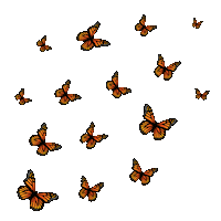 faithelizabethcreative summer vintage butterfly trendy Sticker