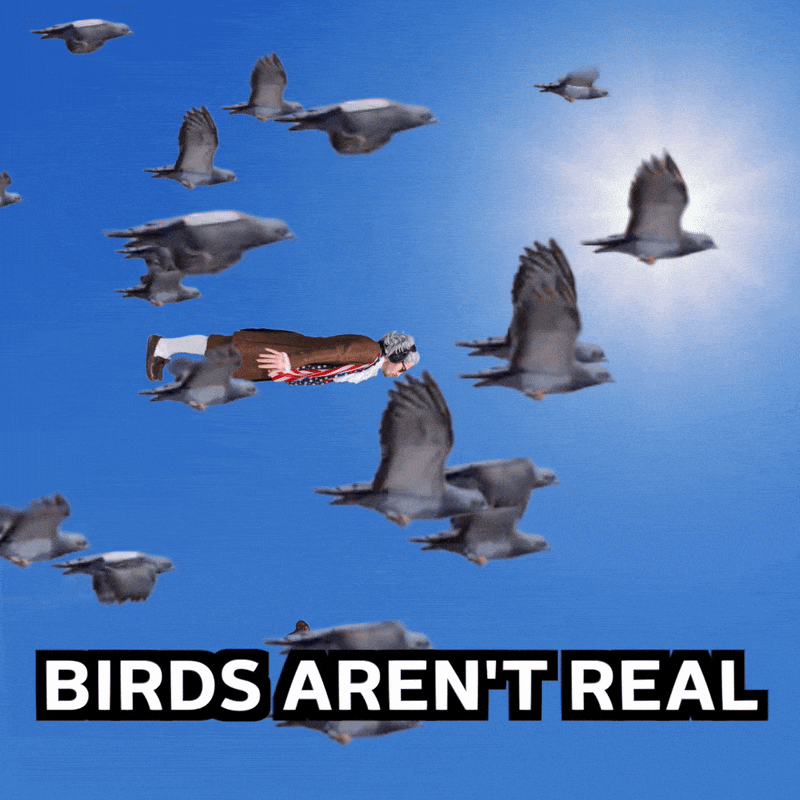Conspiracy Theory Drone GIF