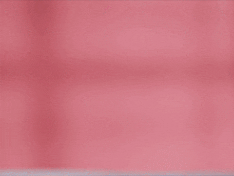 Happy Birthday GIF by Sealed With A GIF