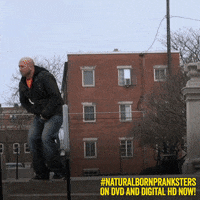 GIF by Lionsgate Home Entertainment