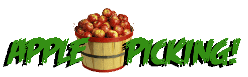 Apple Pie Apples Sticker
