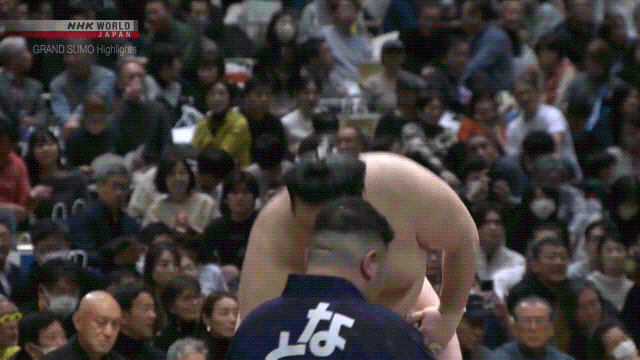 TZ85 giphyupload GIF