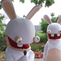 lapin GIF