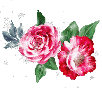 Flower Rose Sticker by Ledri