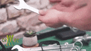 Home Improvement Work GIF by WIESEMANN 1893