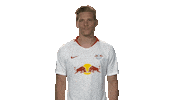 rb leipzig Sticker by Bundesliga