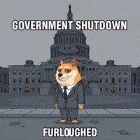 Sad Shiba Inu GIF by Doge Pound