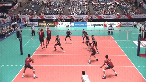Happy World Cup GIF by Volleyball World