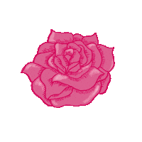 YoniCircle pink beauty flowers rose Sticker