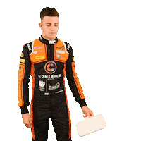 Racing Driver Sticker by Kas Haverkort