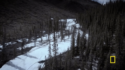 life below zero GIF by National Geographic Channel