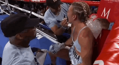 toprank giphyupload fight boxing fighting GIF