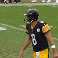 Celebration Nfl GIF by Pittsburgh Steelers