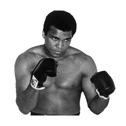 Muhammad Ali Fight Sticker by imoji