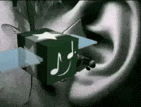 Bee Violin GIF