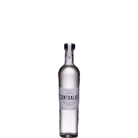 Mezcal Contraluz Sticker by Matraca Gin