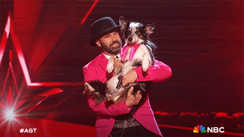 Season 18 Dog GIF by America's Got Talent