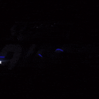 party discount GIF by Bandsquare