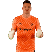 Spartak Trnava Football Sticker by Nike liga