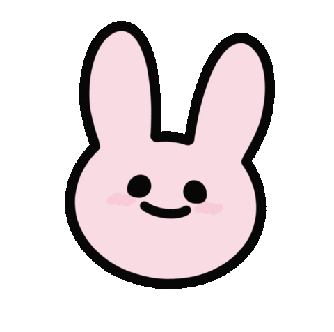 Rabbit Wonpil Sticker
