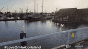 Dog Love GIF by Hallmark Channel