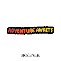 Fun Bear Sticker by grizlor