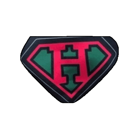 Champions Irish Sticker by Ashling Daly