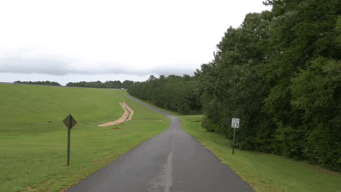 Education Saturday GIF by DIIMSA Stock