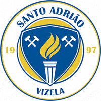 Football Sport GIF by UDC Santo Adrião