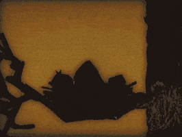 Sleepy Wake Up GIF by Matchbox Mountain