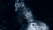 water GIF