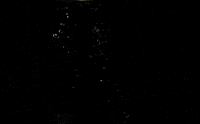 pop popcorn kernel GIF by TED