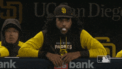 Major League Baseball Sport GIF by MLB