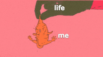 Mole Rat Help GIF by Massive Science