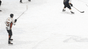 Ice Hockey GIF by Cardiff Fire